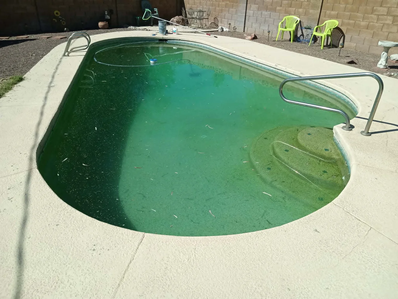 Green pool before Pooligans recovery service